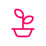 kena-icon-ecosostenibile